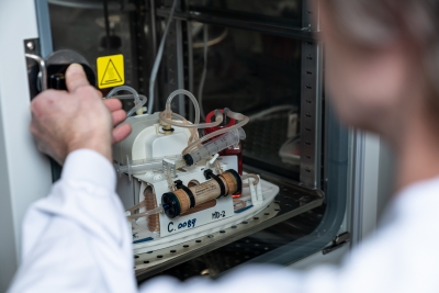 Betrouwbare en nauwkeurige incubatoren