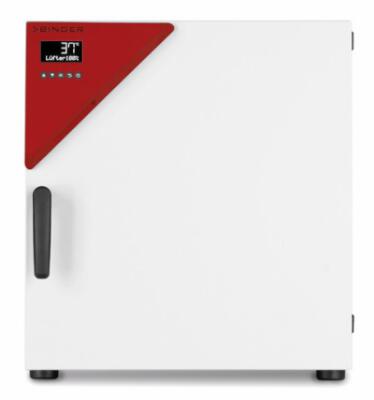 Binder BF 56 countertop broedstoof met geforceerde convectie