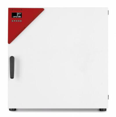 Binder BF 115 tafelmodel broedstoof met geforceerde convectie
