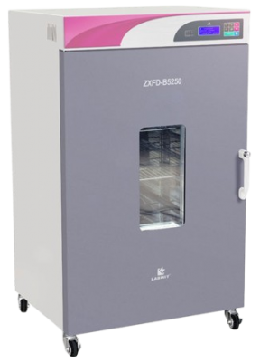 Labwit ZXFD-B5250 droogoven met glasvenster