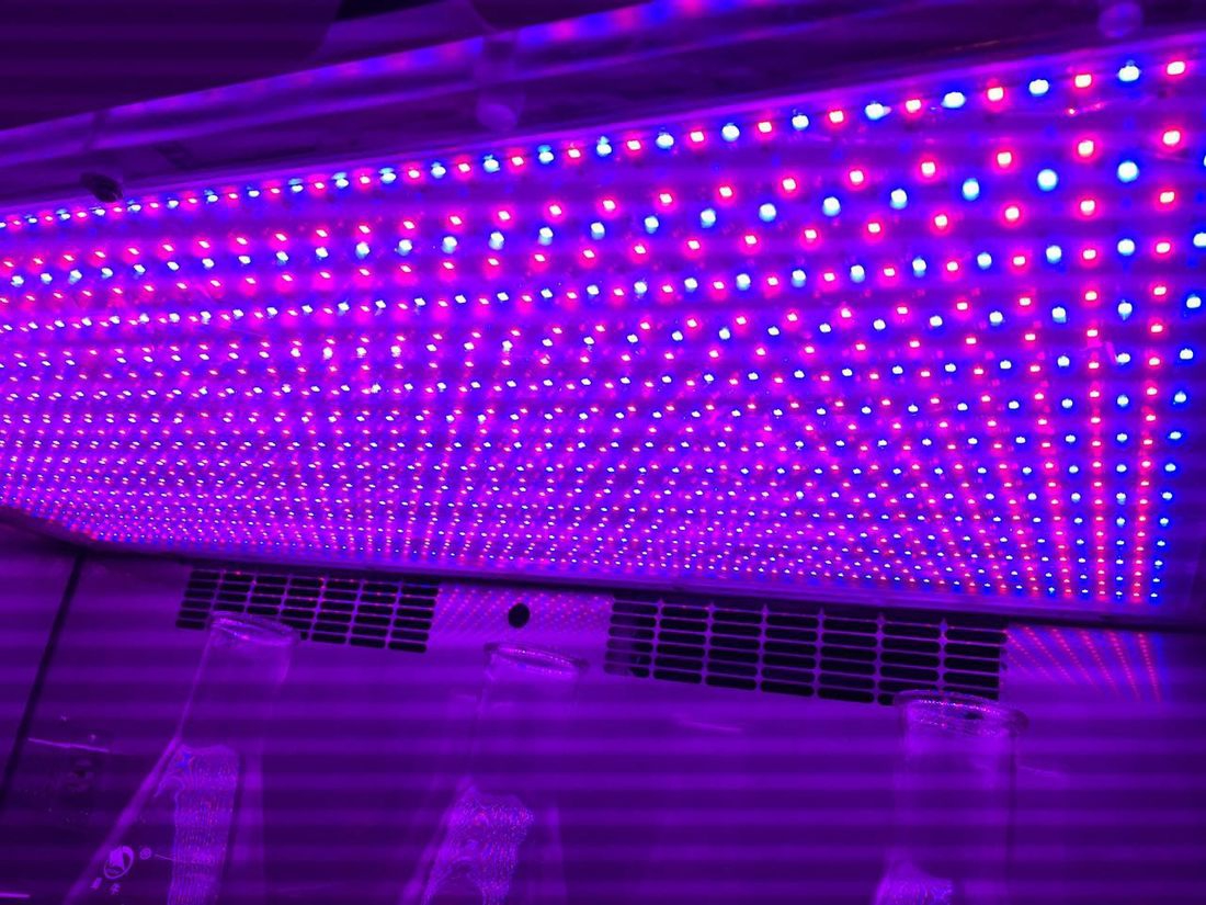 Labwit ZWYR-D2401 - Optionele verlichting