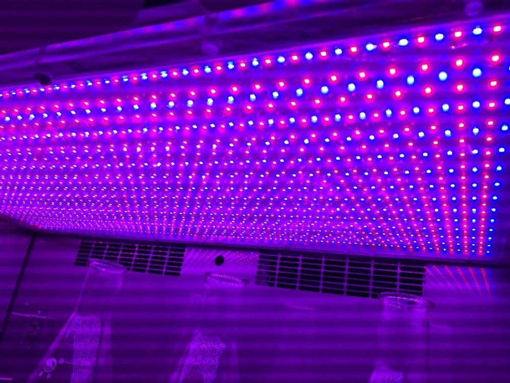 Labwit ZWYR-D2403 - Optionele verlichting