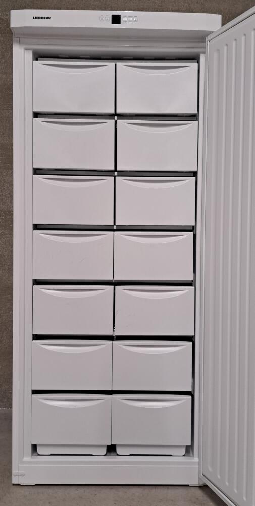 Occasion Liebherr G 5216 professionele vrieskast