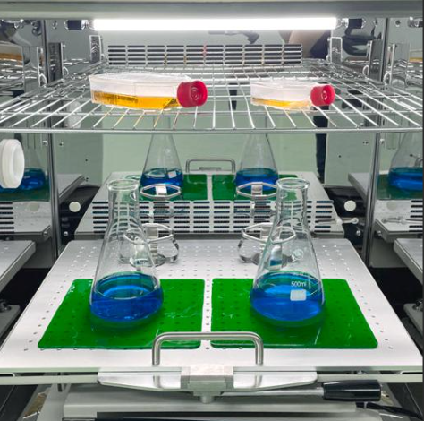 Sticky kleefmat 20x20 cm