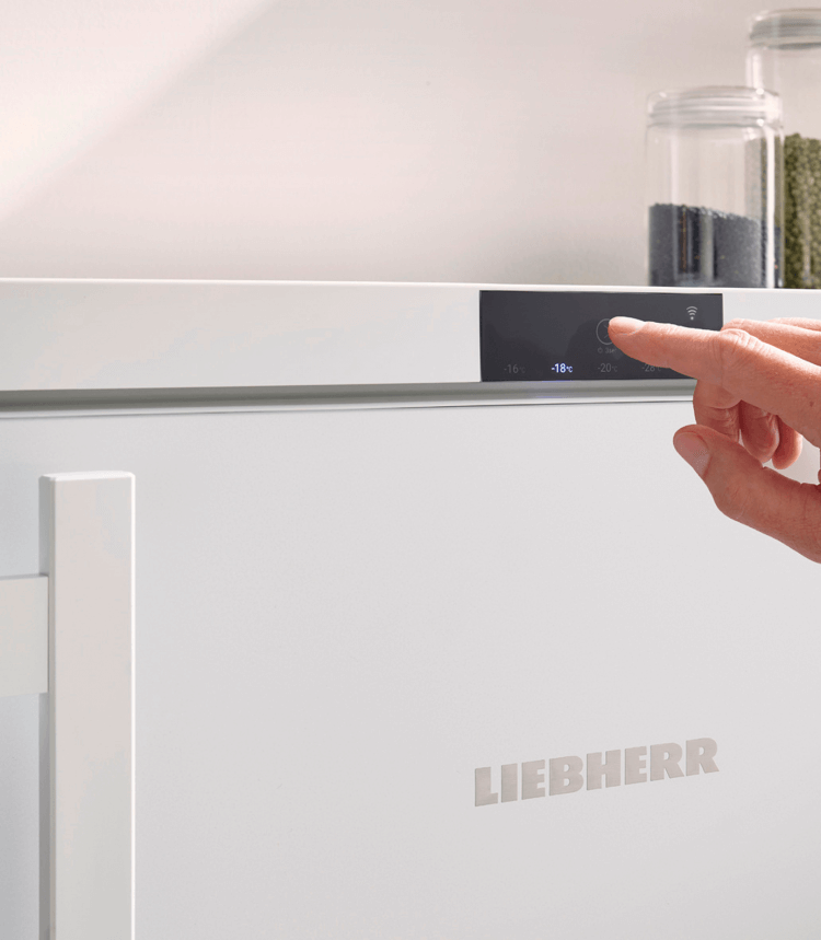 Liebherr Fe 1404 Pure - Display